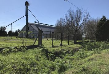 Locales en  Cañada De Gómez, Santa Fe