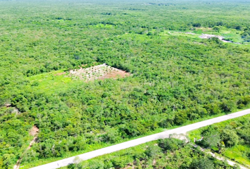 Lote de Terreno en  Carretera Telchac Puerto - Dzilam De Bravo, Santa Clara, Dzidzantún, Yucatán, 97504, Mex