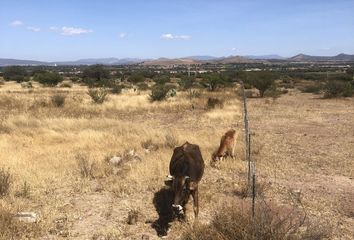 Lote de Terreno en  Carretera Acceso A Santillán, Tequisquiapan, Querétaro, 76790, Mex