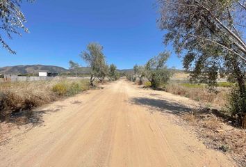 Lote de Terreno en  Guadalupe, Ensenada