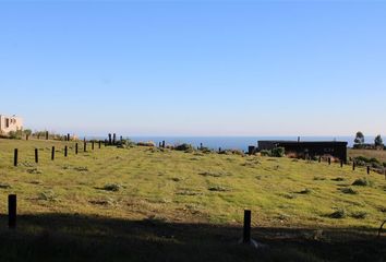 Parcela en  Pichilemu, Cardenal Caro