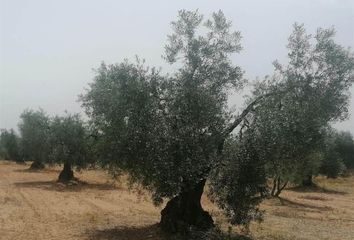 Terreno en  Montijo, Badajoz Provincia