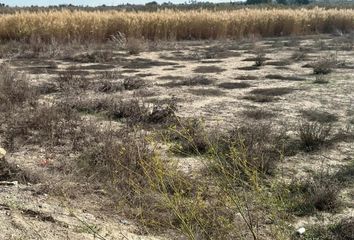 Terreno en  Elx/elche, Alicante Provincia