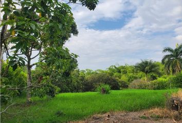 Lote de Terreno en  Montenegro, Quindío