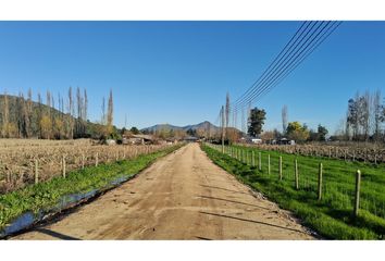 Parcela en  Palmilla, Colchagua