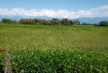 Terrenos en  Famailá, Tucumán