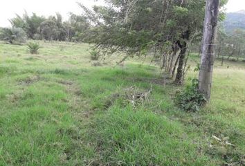 Lote de Terreno en  Panamericana, Manizales