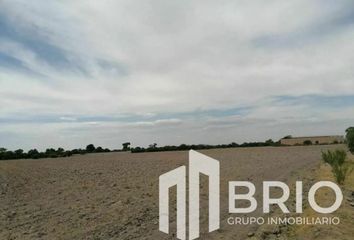 Lote de Terreno en  Calle Ignacio Ramírez, Las Magdalenas, Fraccionamiento 15 De Octubre, Durango, 34167, Mex