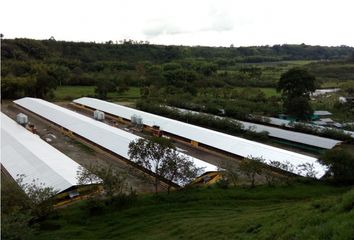 Villa-Quinta en  Montenegro, Quindío