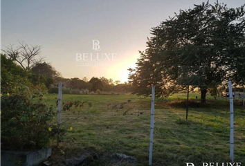 Lotes y Terrenos en  Palmas De Gorgona, Chame