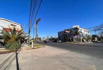 Galpónes/Bodegas en  El Talar, Partido De Tigre