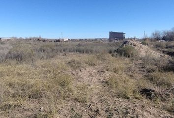 Terrenos en  Senillosa, Neuquen