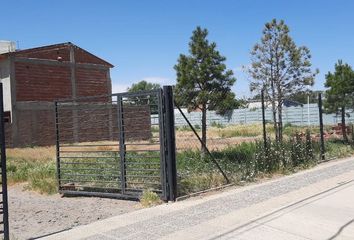 Terrenos en  Confluencia Urbana, Neuquén