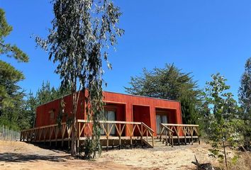 Casa en  Navidad, Cardenal Caro