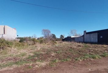 Terrenos en  Pehuajó, Partido De Pehuajó