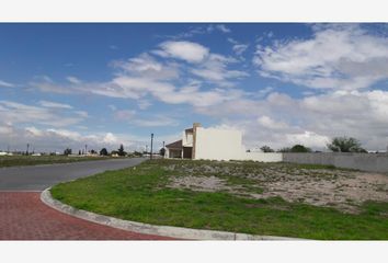 Lote de Terreno en  Carretera Estatal Ninguno, San Isidro De Las Palomas, Arteaga, Coahuila De Zaragoza, 25368, Mex