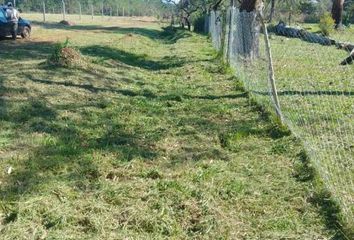 Terrenos en  Candelaria, Misiones