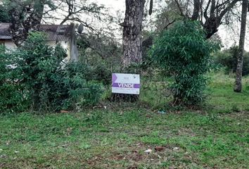 Terrenos en  Candelaria, Misiones