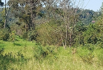 Terrenos en  Ruiz De Montoya, Misiones