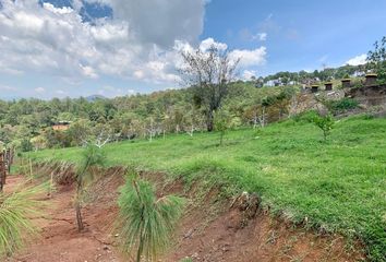 Lote de Terreno en  Colonia Mazamitla, Mazamitla