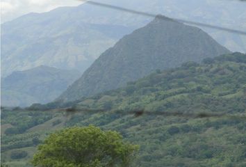 Lote de Terreno en  Támesis, Antioquia