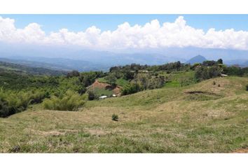 Lote de Terreno en  Támesis, Antioquia