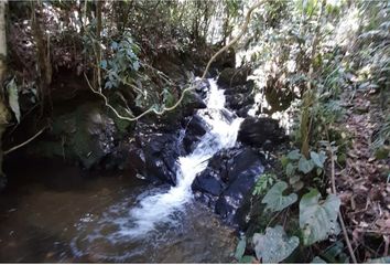 Lote de Terreno en  Guarne, Antioquia