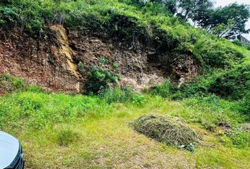 Lote de Terreno en  Carretera El Monumento-tingambato, El Arco, Valle De Bravo, México, 51217, Mex