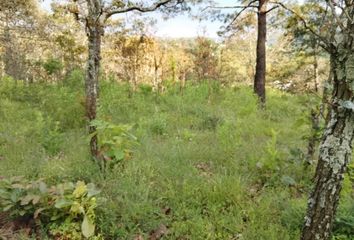 Lote de Terreno en  San Francisco Mihualtepec, Donato Guerra, México, Mex