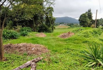 Lote de Terreno en  51268, Amanalco, México, Mex