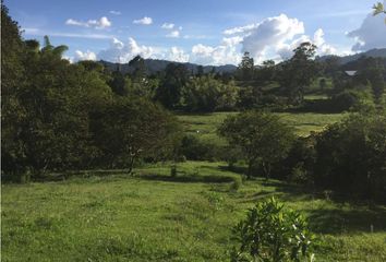 Lote de Terreno en  Rionegro Antioquía