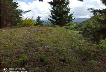 Lote de Terreno en  El Peñol, Antioquia