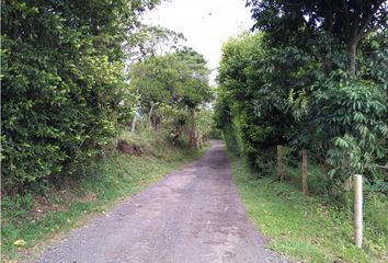 Lote de Terreno en  Cerritos, Pereira