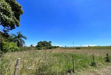 Lote de Terreno en  Cerritos, Pereira