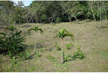 Lote de Terreno en  Sasaima, Cundinamarca