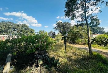 Lote de Terreno en  76894, Amealco De Bonfil, Querétaro, Mex