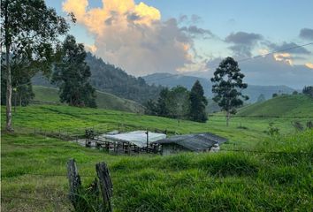 Villa-Quinta en  Carolina Del Príncipe, Antioquia