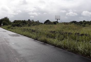 Lote de Terreno en  97334, San Ignacio, Yucatán, Mex