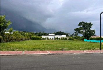 Lote de Terreno en  Restrepo, Meta