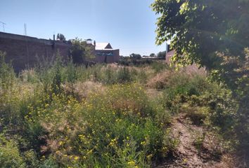 Terrenos en  Calle Gobernador Juan Ramón Balcarce 902-1000, San Rafael, Mendoza, Arg