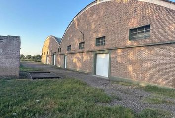 Galpónes/Bodegas en  General Alvear, Mendoza