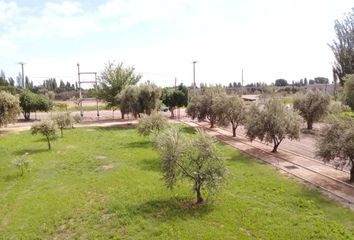 Terrenos en  Maipú, Mendoza