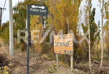 Terrenos en  Valentina Norte Rural, Neuquén