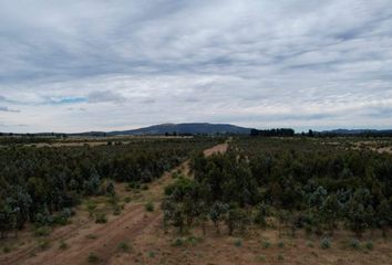 Parcela en  San Nicolás, Ñuble (región)