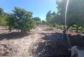 Parcela en  Buin, Maipo