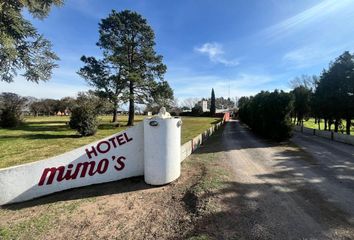 Locales en  Rawson, Partido De Chacabuco