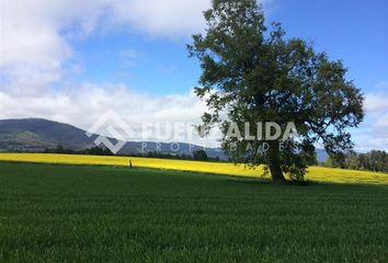 Parcela en  Loncoche, Cautín