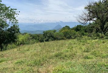 Lote de Terreno en  Támesis, Antioquia