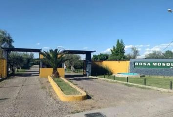 Casa en  Los Corralitos, Mendoza