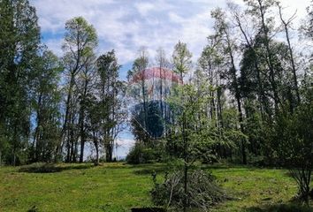 Parcela en  Los Lagos, Valdivia